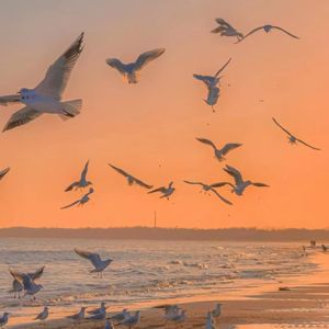 耳畔深秋-85 伴奏