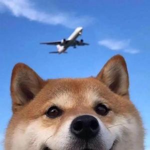 翻唱你的酒馆对我打了烊