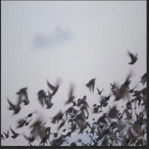 当我感受不到DEMO