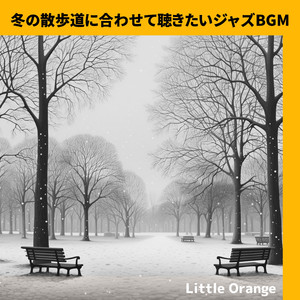 Frozen Pond Serenade