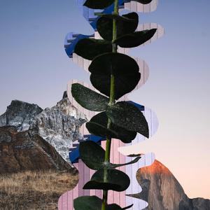 CA to MI (feat. Nito)