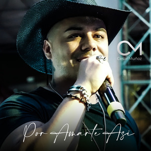 Por Amarte Así