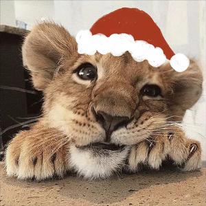 Linger（Prod by Puff）