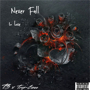 Never Fall in LOVE