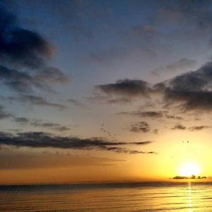 别要怪我口不对心