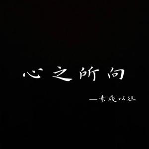 心之所向-安1飞