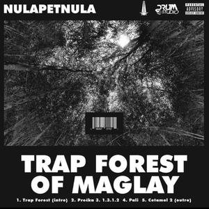 PALI (feat. 050 & GOGIC)