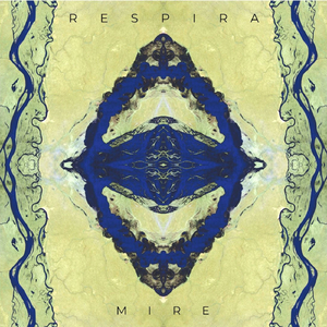 Amphibic Environment