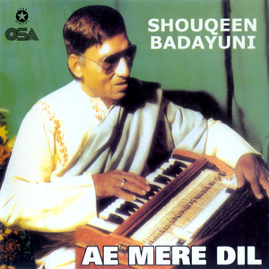 Hum Yahan Chain Zara Paney