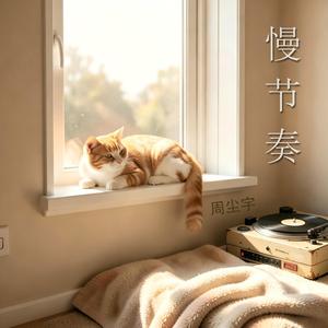 借一点光