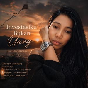 My Investment Isn’t Money”