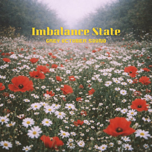 Imbalance State