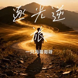 逐光逆旅