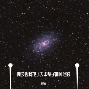 我发现我花了大半辈子捕风捉影