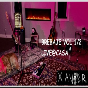 Brebaje(Live)