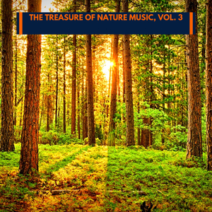 Stone Dropping Into Water