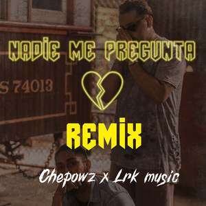 Nadie Me Pregunta (Remix)