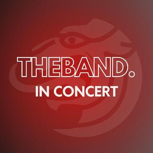 Flight Of The Silverbird (Live)