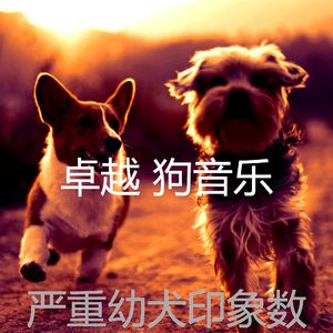 温和可爱的狗梦想