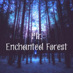 Enchanted Forest