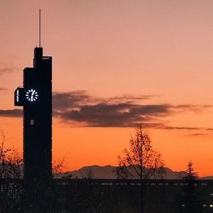 又是(I'm alone again)