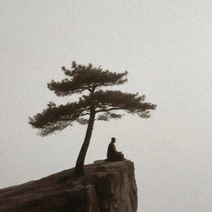 青山无春秋