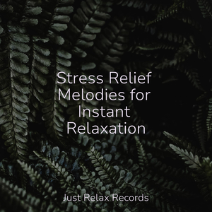 Shower of Petal Tears