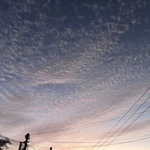 山川之大没有你.wav（翻自 张德伊玲）