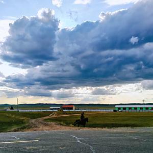 送你一只海鸥从明天起自由