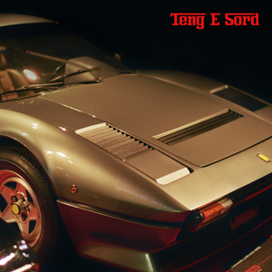 TENG E SORD