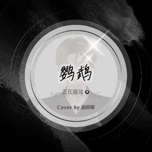 鹦鹉（Cover孟凡明）