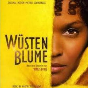 Stranger In This Land