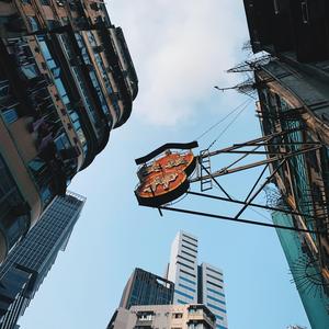 凤凰花开的路口