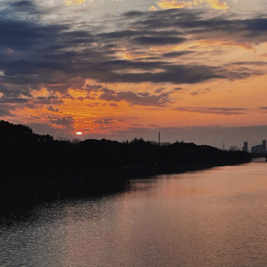 天冷就回来（翻唱）