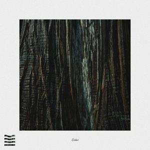 Cedar
