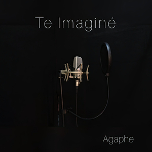 Te Imaginé