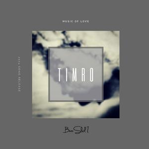 Timro (feat. BiV1)