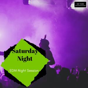 Pure And Fresh (EDM Festival Deep House)