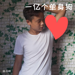 一亿个单身狗（翻自 蒙面哥）