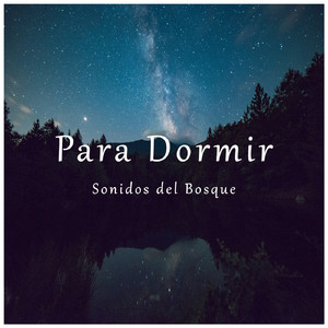 Amanecer en el Bosque