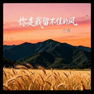 你是我留不住的风