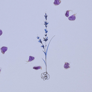 우린 끝까지 이루어지지 못한 첫사랑인 거지