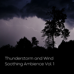 Storm Training