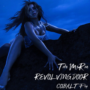 REVOLVING DOOR (COBALT FLIP)