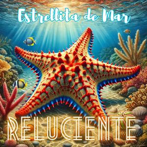 Estrellita de Mar