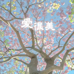 爱很美(2026Remix)