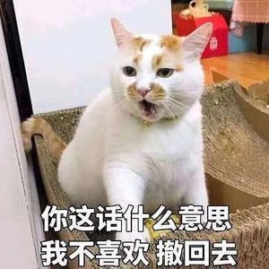 怎叹 吉他版
