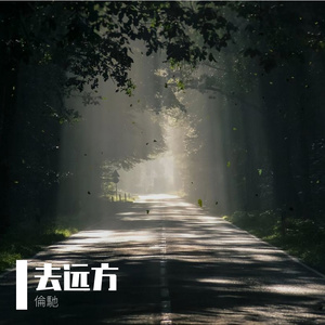 去远方