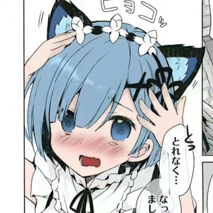 个人简介（翻自 安全着陆）