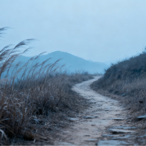 你像云聚了又散